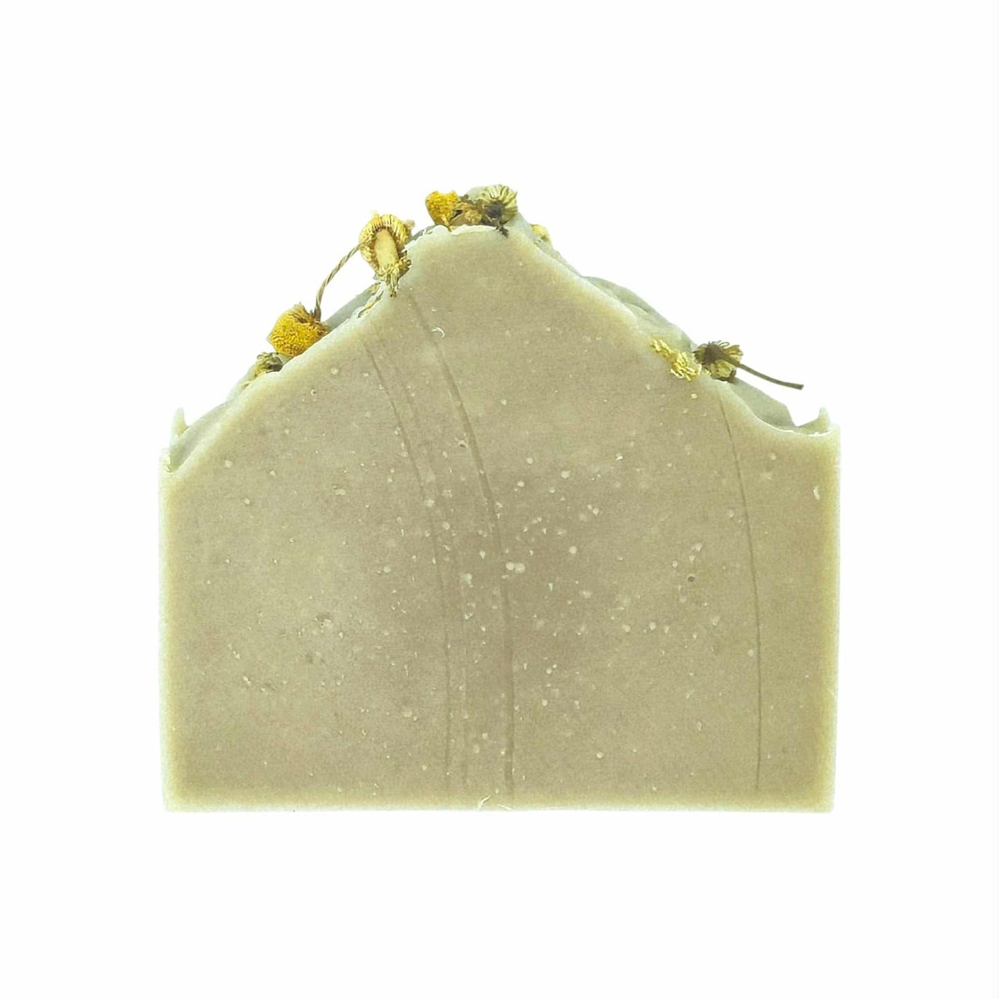 Bar of green botanical soap with dried chamomile flowers on a white background